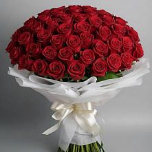 Букет 101 Красная роза Блэк Мэджик #REPLACE_PRED# Змеиногорске