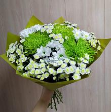 Букет цветов из:  Хризантемы #REPLACE_PRED# Змеиногорске