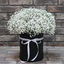 Цветочная композиция из Гипсофила в шляпной коробке в Змеиногорске