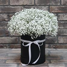 Цветочная композиция из Гипсофила в шляпной коробке в Змеиногорске